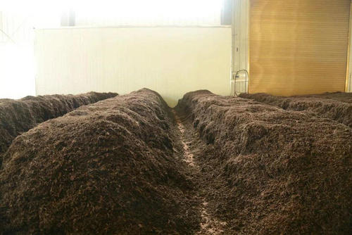 制茶八步驟，制茶工藝流程圖