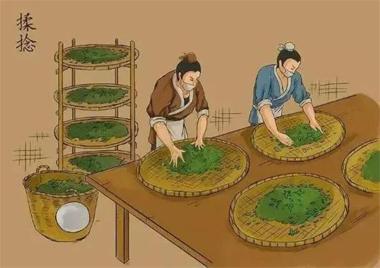 制茶八步驟，制茶工藝流程圖