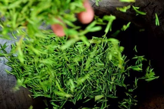 龍井茶炒茶葉怎么炒出好茶色，茶葉怎樣做出來最綠？