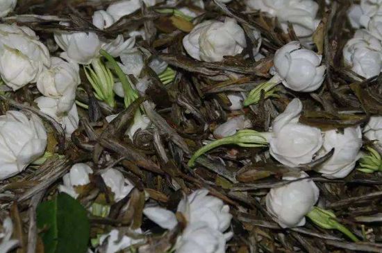 茉莉龍珠怎么做的，茉莉龍珠的制作工藝