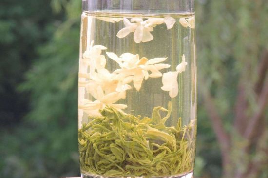 茉莉龍珠可以和什么一起泡茶，茉莉龍珠茶能加蜂蜜嗎？