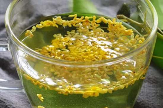 茉莉茶一次泡幾朵，茉莉茶放多少