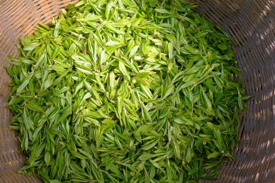 烏牛早和龍井的區(qū)別圖片，龍井43號和烏牛早茶的對比