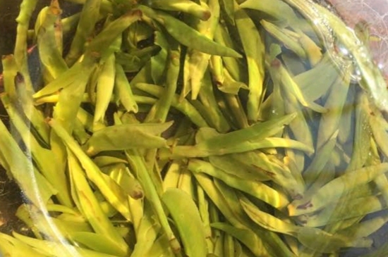 龍井是明前的好還是雨前的好，明前茶和雨前茶哪個(gè)好喝？