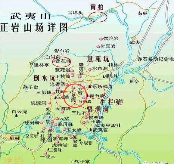 母樹大紅袍給誰喝了，為什么母樹大紅袍叫三棵六株？