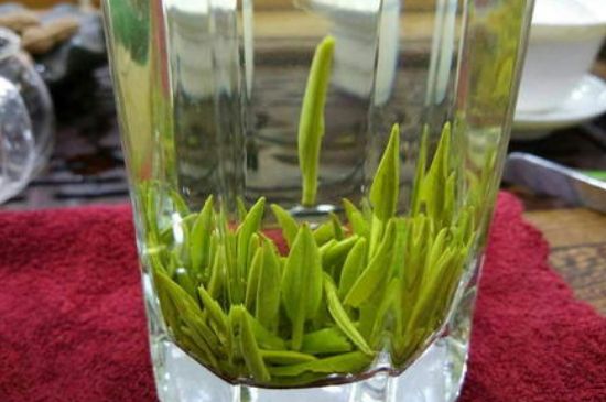 雀舌有一股青草味，雀舌為什么有青草味？