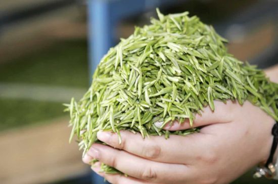 高山云霧茶屬于什么茶，高山云霧茶哪里的最好