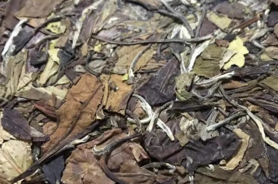 老白茶上火還是去火？夏季喝煮的老白茶會容易上火！