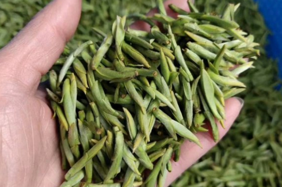 龍井茶好壞的鑒別圖片，如何區(qū)別龍井茶的好壞？