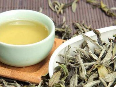 大紅袍好還是白茶好，福鼎白茶和大紅袍哪個貴？