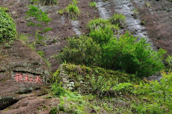 武夷巖茶大紅袍，喝起來是什么味道？
