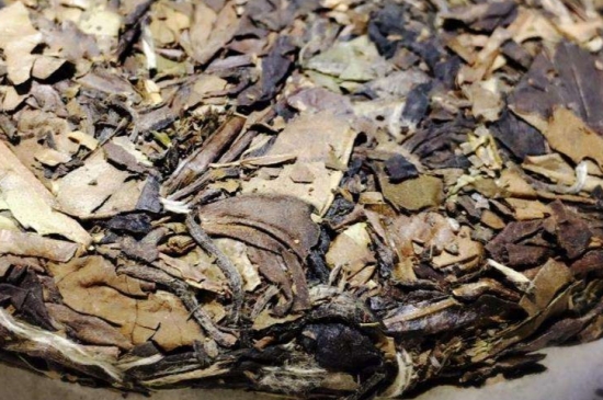 煮茶的步驟圖解，正確的煮白茶方法！