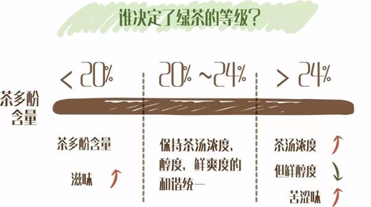 什么綠茶口味重口感濃郁，口味比較重的綠茶都有那些？
