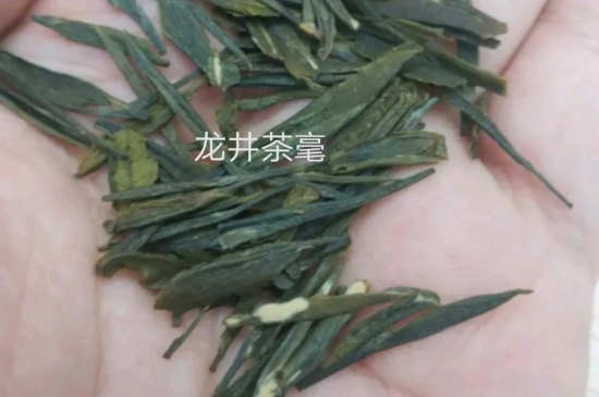 西湖龍井茶毫和發(fā)霉區(qū)別圖片，長(zhǎng)霉的龍井茶葉會(huì)是什么樣？