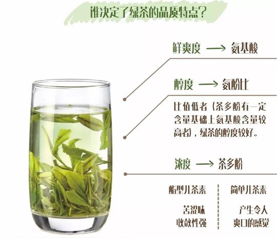 什么綠茶口味重口感濃郁，口味比較重的綠茶都有那些？