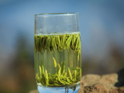 竹葉青茶怎么樣，檔次較高味道略苦價格比較貴