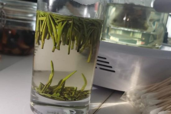 金壇雀舌算不算好茶，金壇雀舌屬于什么檔次茶葉？