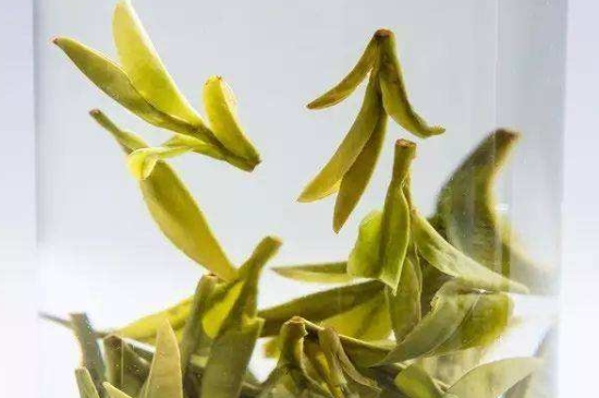 烏牛早和龍井的區(qū)別圖片，龍井43號和烏牛早茶的對比