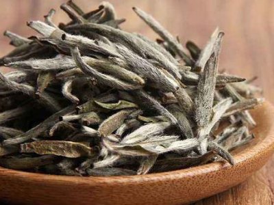 白茶有哪些品種排名，<a href=http://m.jiaodonghuabobo.com/fenlei/baicha/ target=_blank class=infotextkey>白茶的種類</a>大全