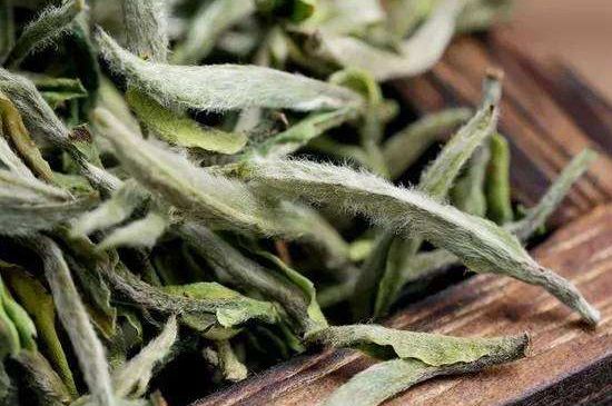 荒野銀針有什么特點，荒野銀針的味道口感咋樣？