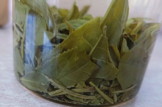 綠茶陳茶和新茶區(qū)別，綠茶怎樣區(qū)分新茶和陳茶