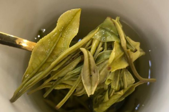 新舊白茶怎么區(qū)分，怎么分辨白茶是新還是舊