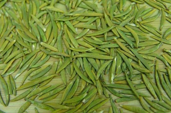 竹葉青和毛尖的區(qū)別，毛尖和竹葉青怎么分辨？