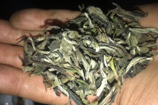 7年壽眉和2年白牡丹哪個好，老白茶壽眉與白牡丹的口感區(qū)別