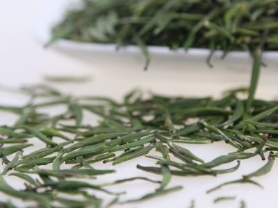 霍山黃芽算是好茶嗎，霍山黃芽屬于什么茶？