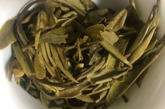 三年白茶賽砒霜，這是真的嗎？