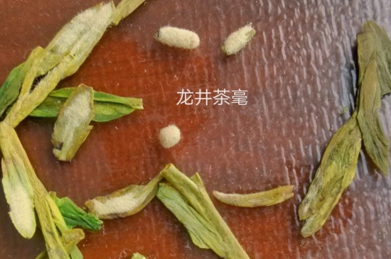 西湖龍井茶毫和發(fā)霉區(qū)別圖片，長(zhǎng)霉的龍井茶葉會(huì)是什么樣？