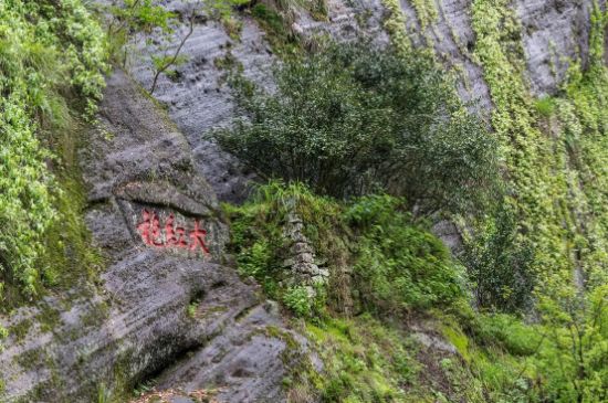 大紅袍為什么沒(méi)保質(zhì)期，武夷巖茶大紅袍能放幾年？