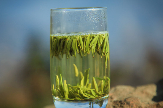 竹葉青茶泡不立起來怎么回事，竹葉青茶怎么泡立起來