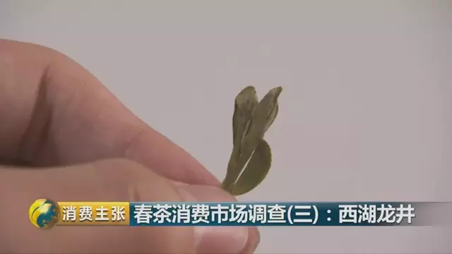 龍井群體種和43號(hào)的區(qū)別圖片，龍井43和群體種哪個(gè)好喝？