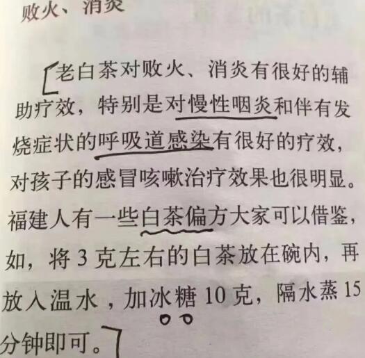 老白茶上火還是去火？夏季喝煮的老白茶會容易上火！