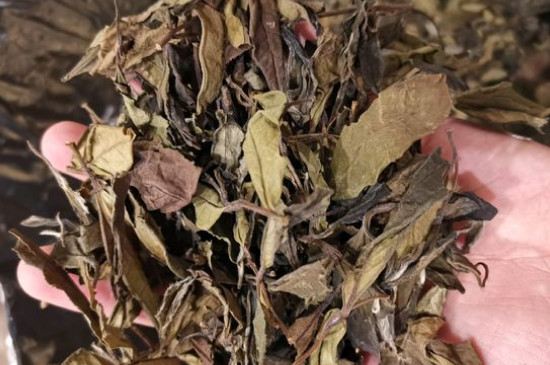 新舊白茶怎么區(qū)分，怎么分辨白茶是新還是舊