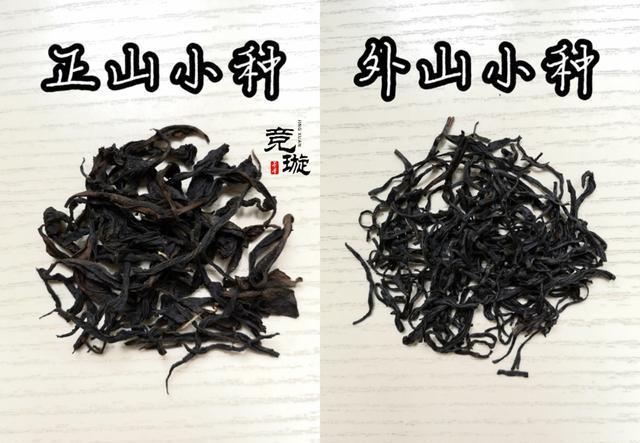 正山小種很細還很黑亮，正山小種越細越好嗎