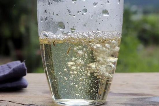 三年白茶賽砒霜，這是真的嗎？