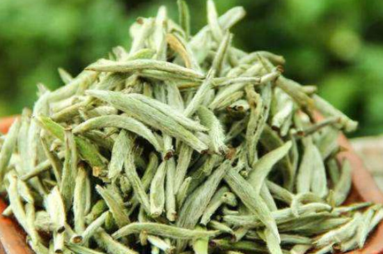 白毫銀針年份越久越好嗎，銀針白毫是否越陳越好