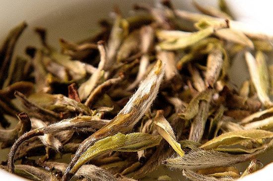 荒野銀針市場(chǎng)價(jià)多少，真正的荒野白毫銀針多少錢？