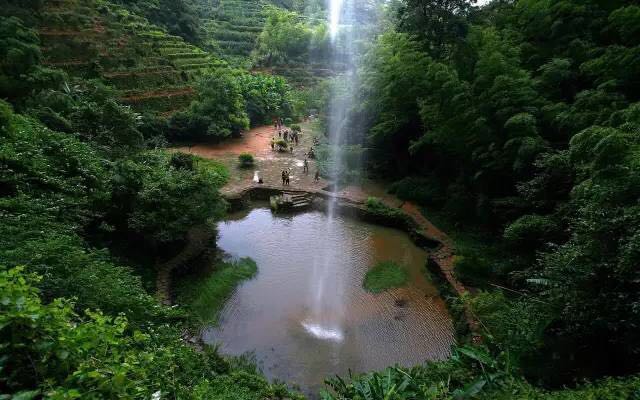 武夷山為什么盛產(chǎn)茶葉，武夷山茶為什么好喝？