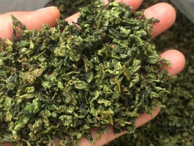 鐵觀音毛茶茶?？梢耘菟葐幔F觀音帶梗是不是好茶？