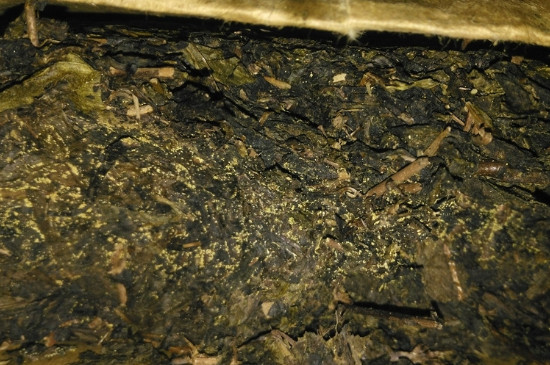 黑茶茯茶保存五大忌，茯茶收藏的注意事項(xiàng)