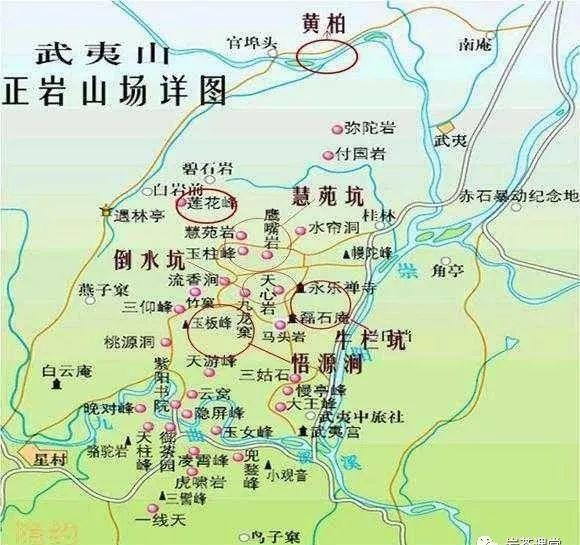 300塊錢的金駿眉能喝嗎，兩三百多金駿眉和一千多區(qū)別