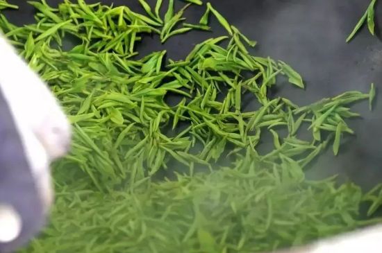 碧螺春為什么泡水渾濁，碧螺春茶葉泡水感覺(jué)很臟是混濁的