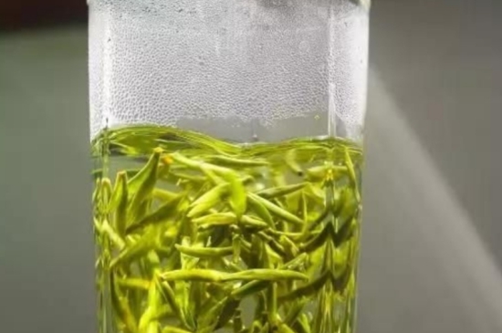 西湖龍井茶毫和發(fā)霉區(qū)別圖片，長(zhǎng)霉的龍井茶葉會(huì)是什么樣？