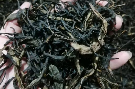 蜜蘭香好還是鴨屎香好，鳳凰單叢茶蜜蘭香和鴨屎香特點有哪些？