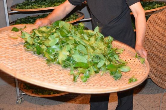 鐵觀音加香精騙局，鐵觀音的香味是添加香精了嗎？