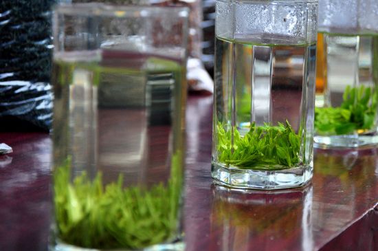 綠茶放了三年還能喝嗎，綠茶放久了喝了會(huì)怎樣