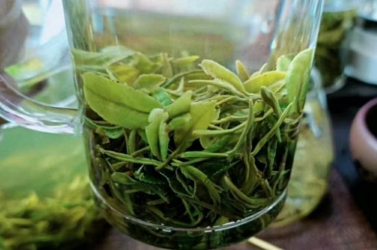 什么綠茶味道濃香，那個(gè)綠茶比較濃香？